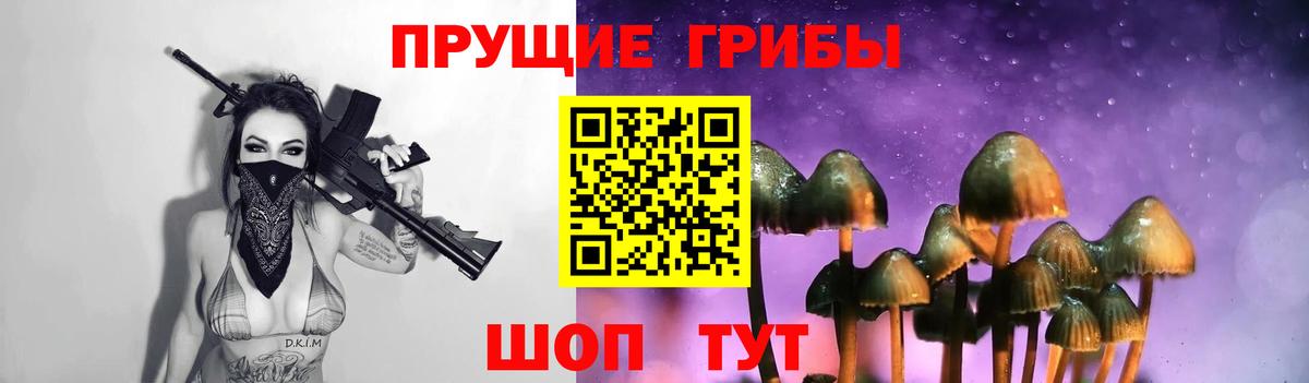 Псилоцибиновые грибы Psilocybe Первоуральск